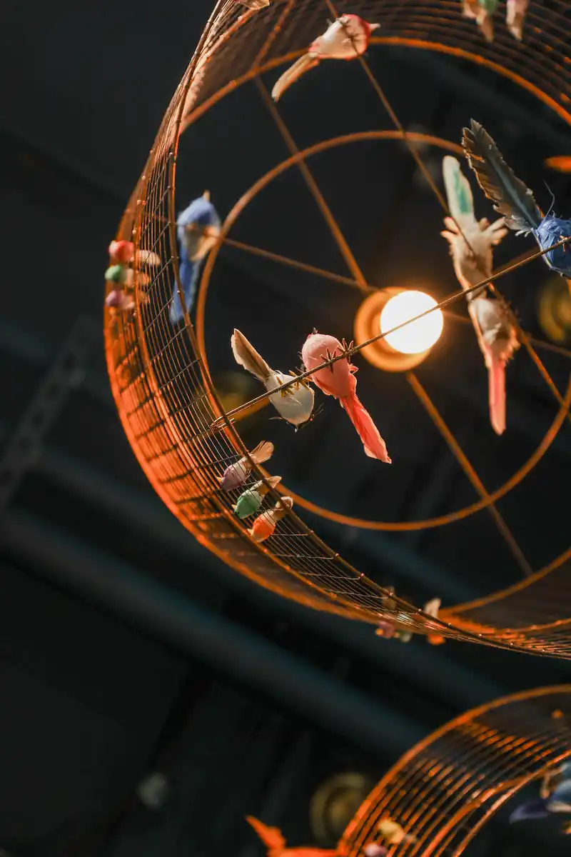Birdcage lights, bantr wausau